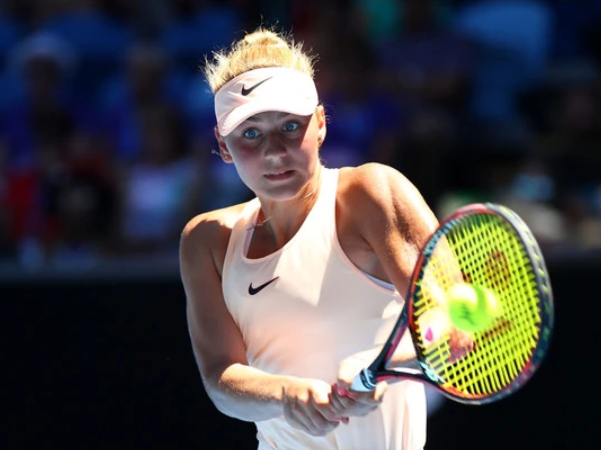 种优雅与经 种优雅与经