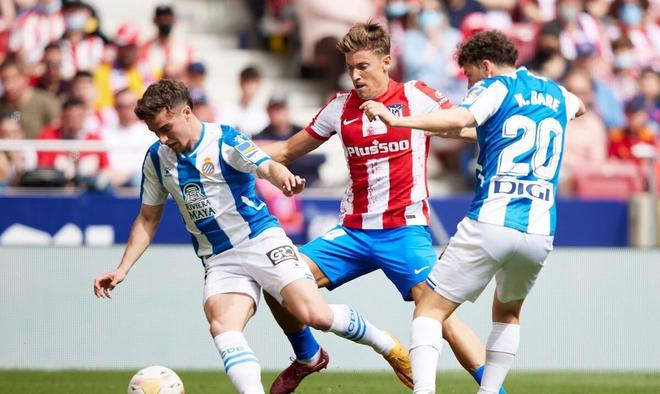 这些金球先 这些金球先